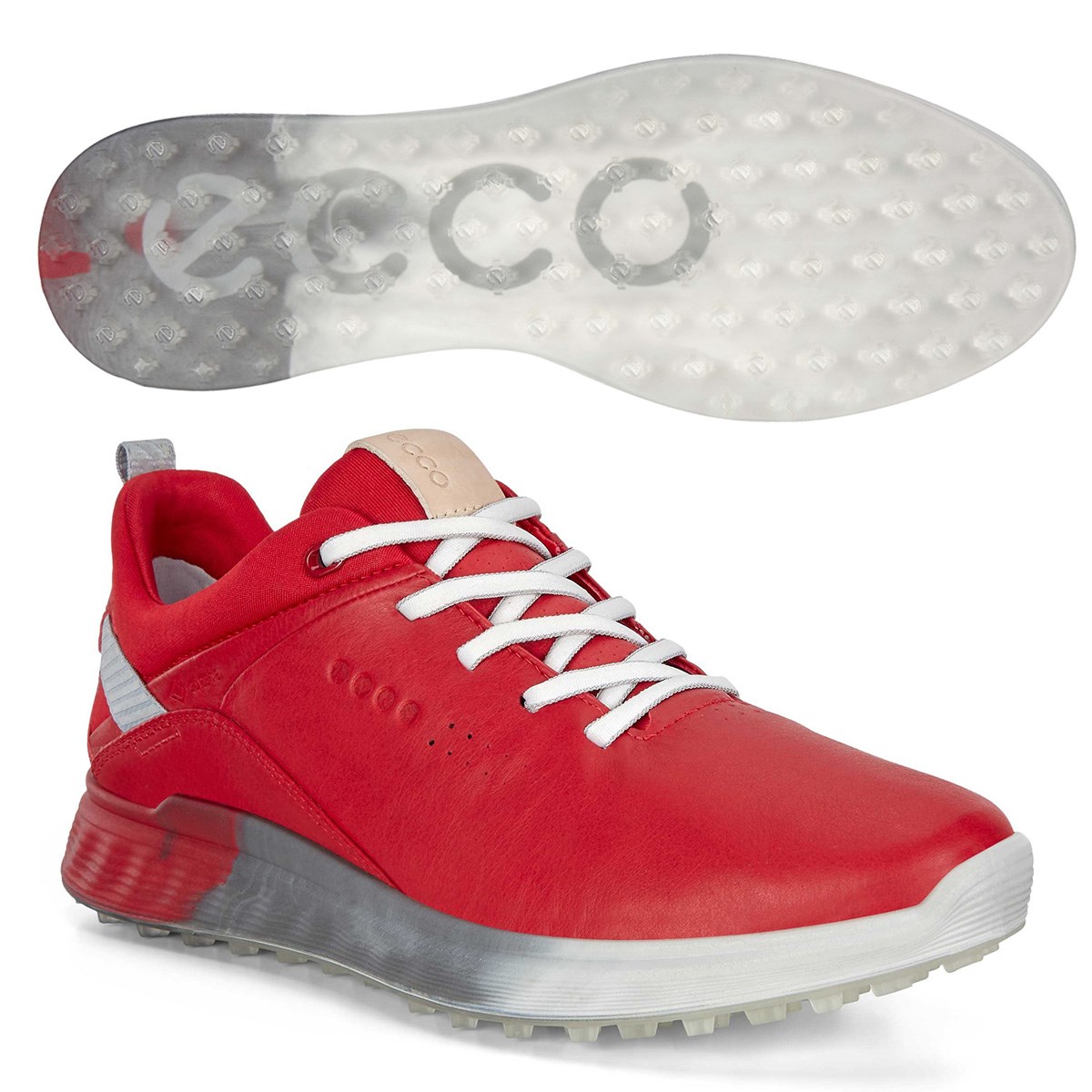 開店記念セール！】 ECCO GOLF エコーゴルフ レディース スパイクリス