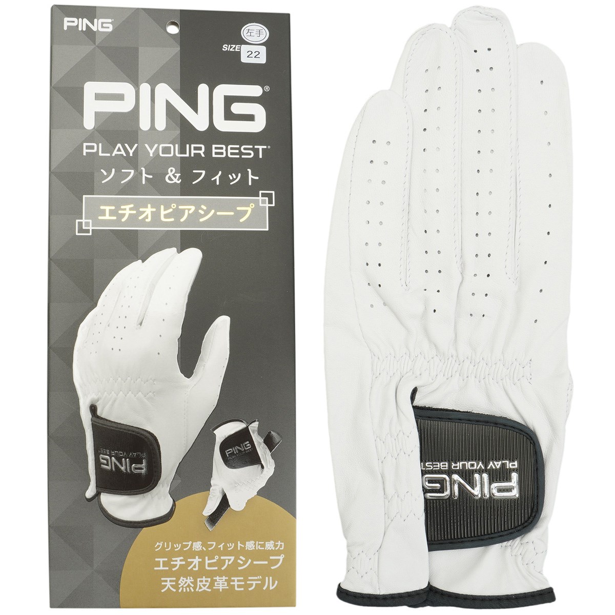ピン PING ゴルフ グローブ GL-P203 ワンサイズ メンズ用 右手着用