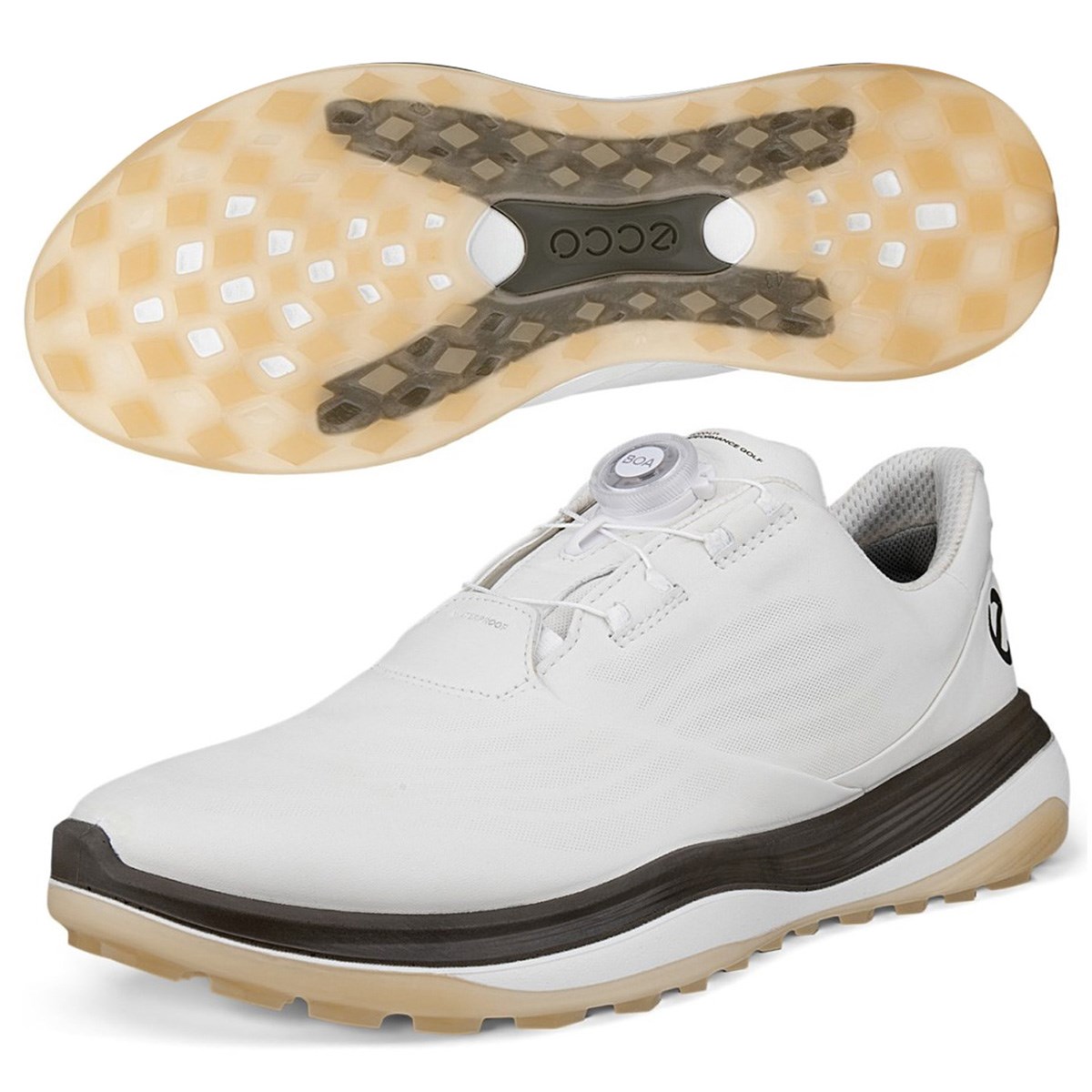 [2025Nf] ecco GR[ LT1 BOA V[Y zCg^^[}bN Y