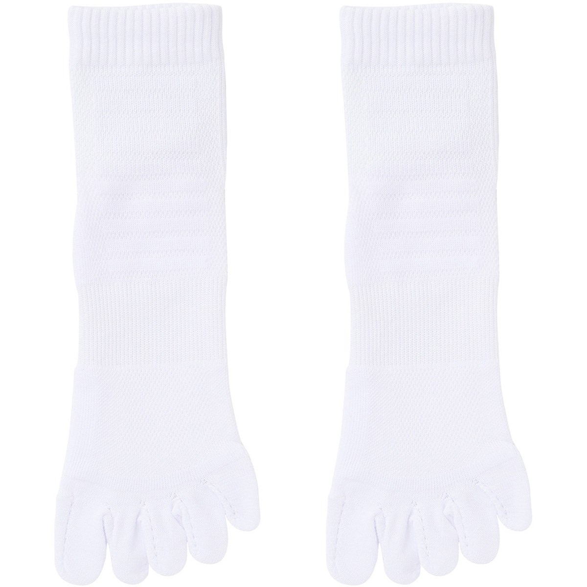 [2024Nf] t@Ce phiten 5{w Z~O X|[c\bNX 2Zbg zCg StEFA