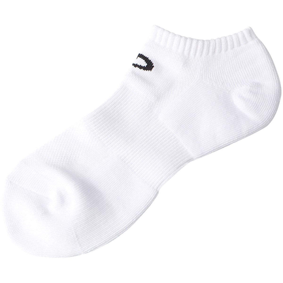 [2024Nf] t@Ce phiten ۂܐ AN X|[c\bNX 2Zbg zCg StEFA