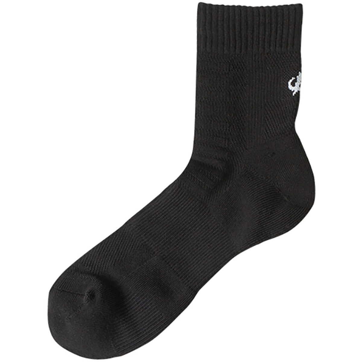 [2024Nf] t@Ce phiten ۂܐ Z~O X|[c\bNX 2Zbg ubN StEFA