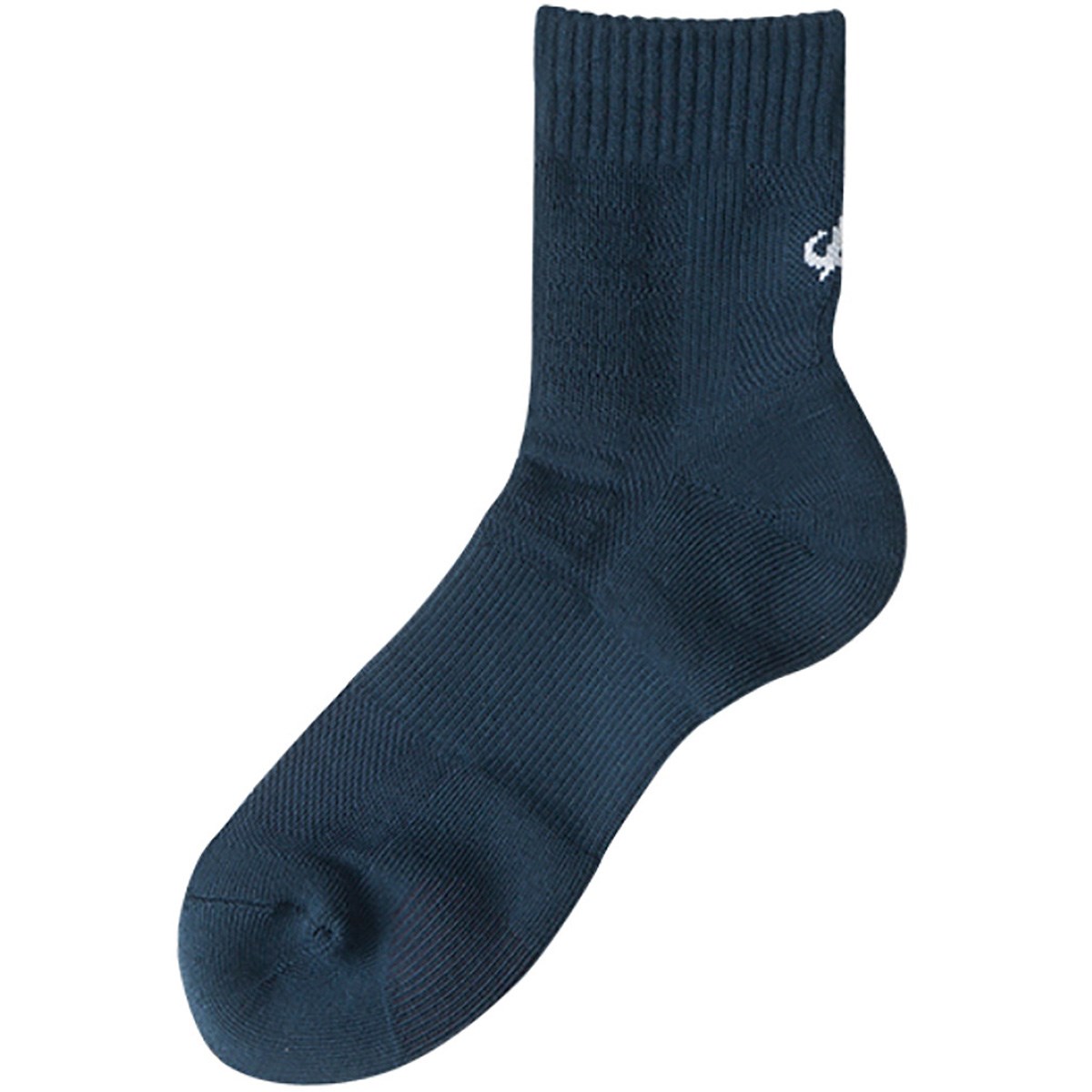 [2024Nf] t@Ce phiten ۂܐ Z~O X|[c\bNX 2Zbg lCr[ StEFA