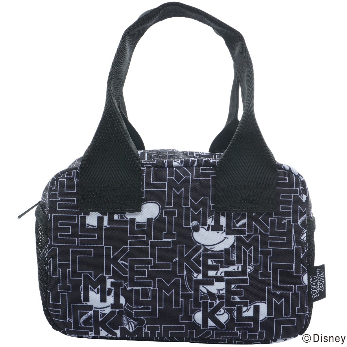 [2025Nf] fBYj[ Disney mg[ ~bL[St N[[obO ubN 10 Y