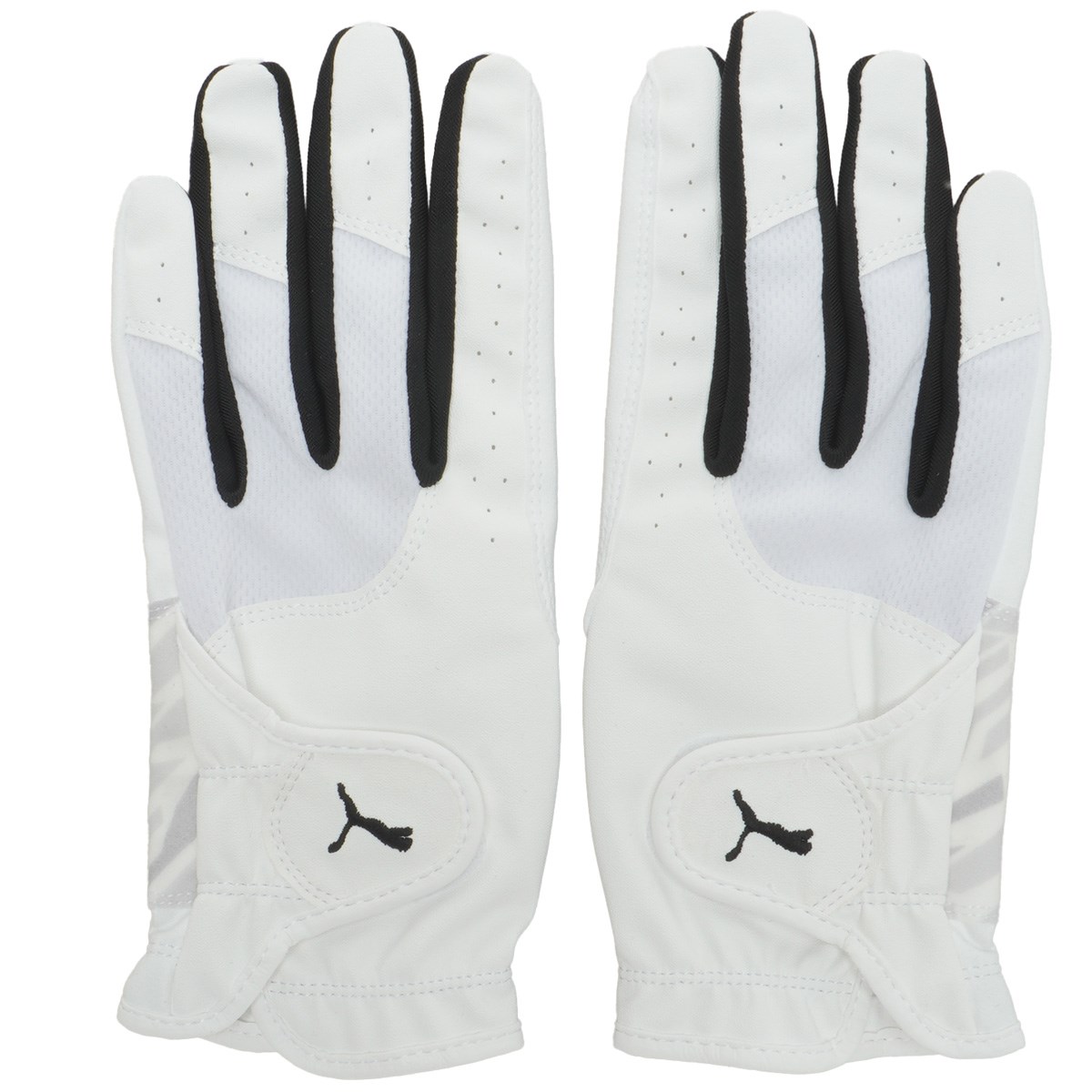 [2025Nf] v[} PUMA PWR Obv O[u p uCgzCg^v[}ubN 04 fB[X