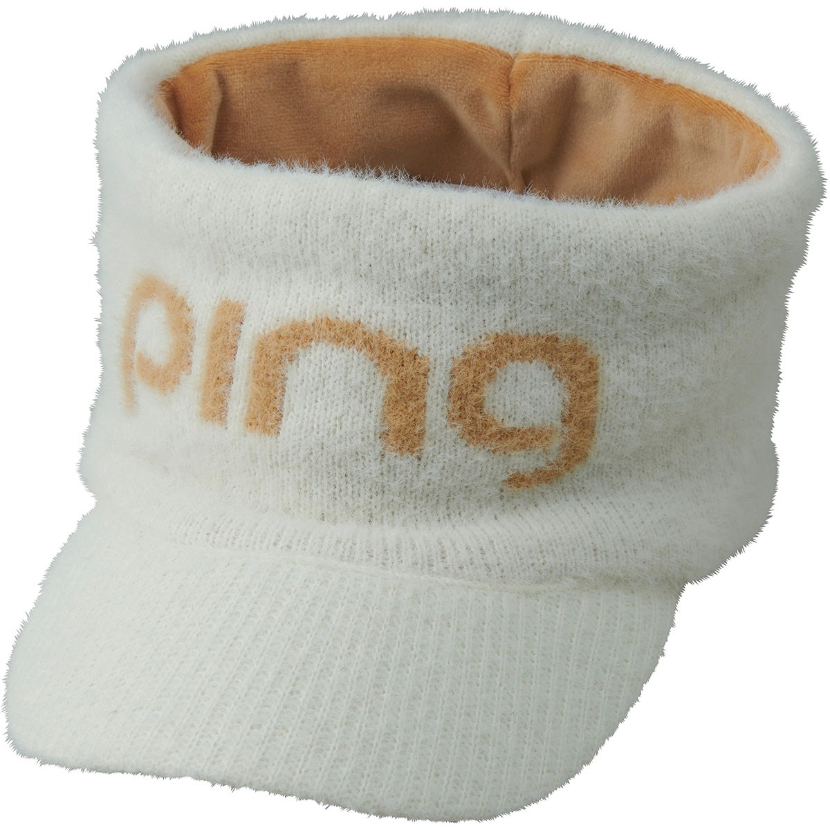 [2025Nf] s PING VM[jbgToCU[ AC{[^x[W fB[X