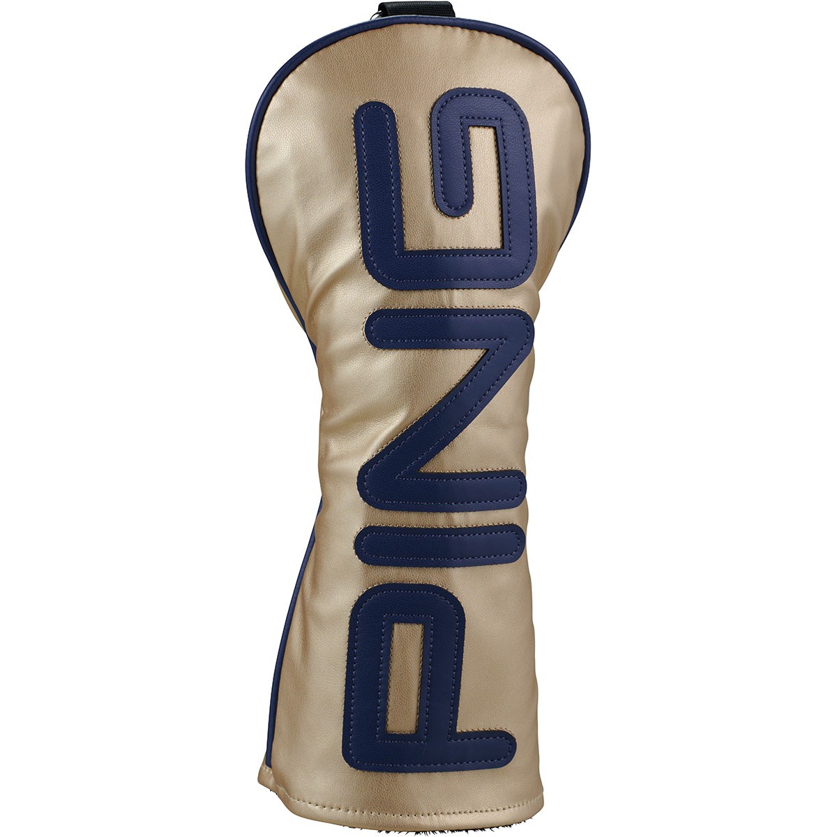 [2025Nf] s PING J[R[hwbhJo[ FWp S[h Y