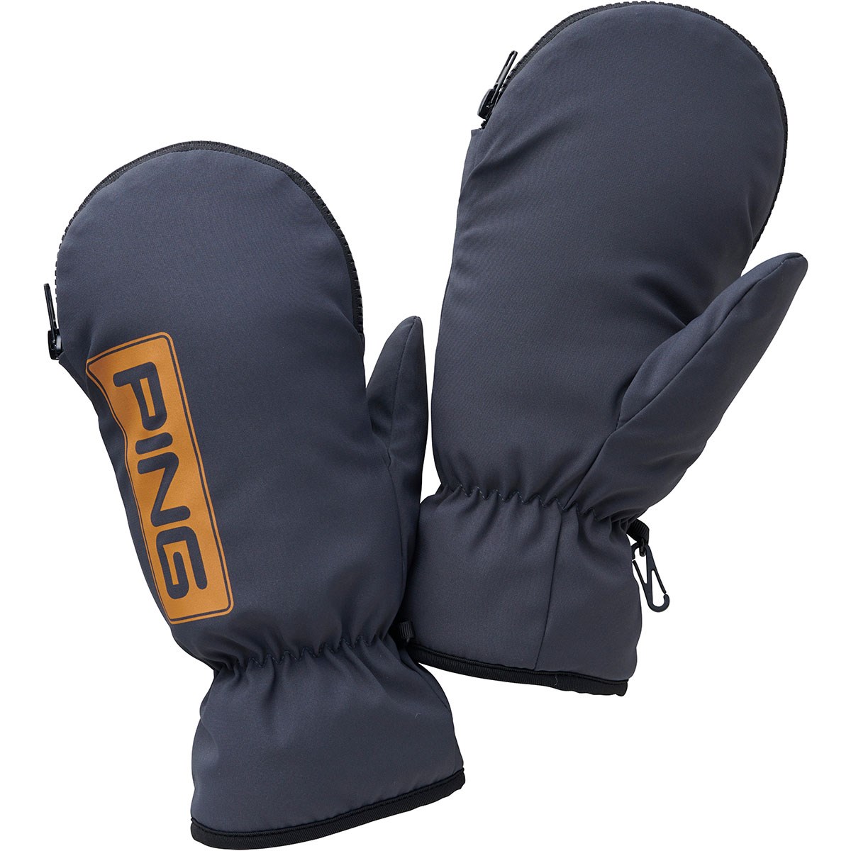 [2025Nf] s PING dq~gO[u p O[ StEFA