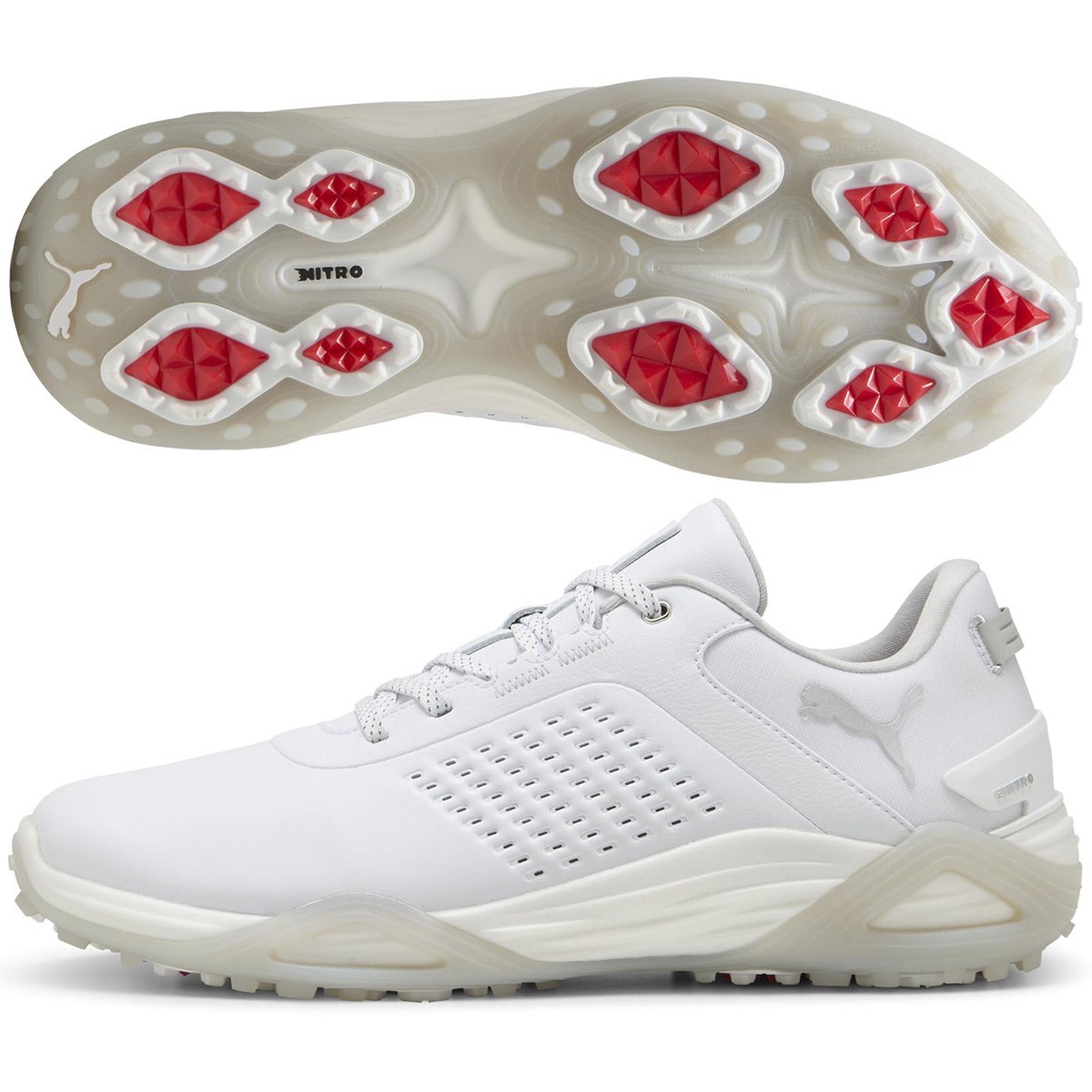 v[} PUMA VhELbgjg U[ V[Y v[}zCg^AbVO[ 01 Y