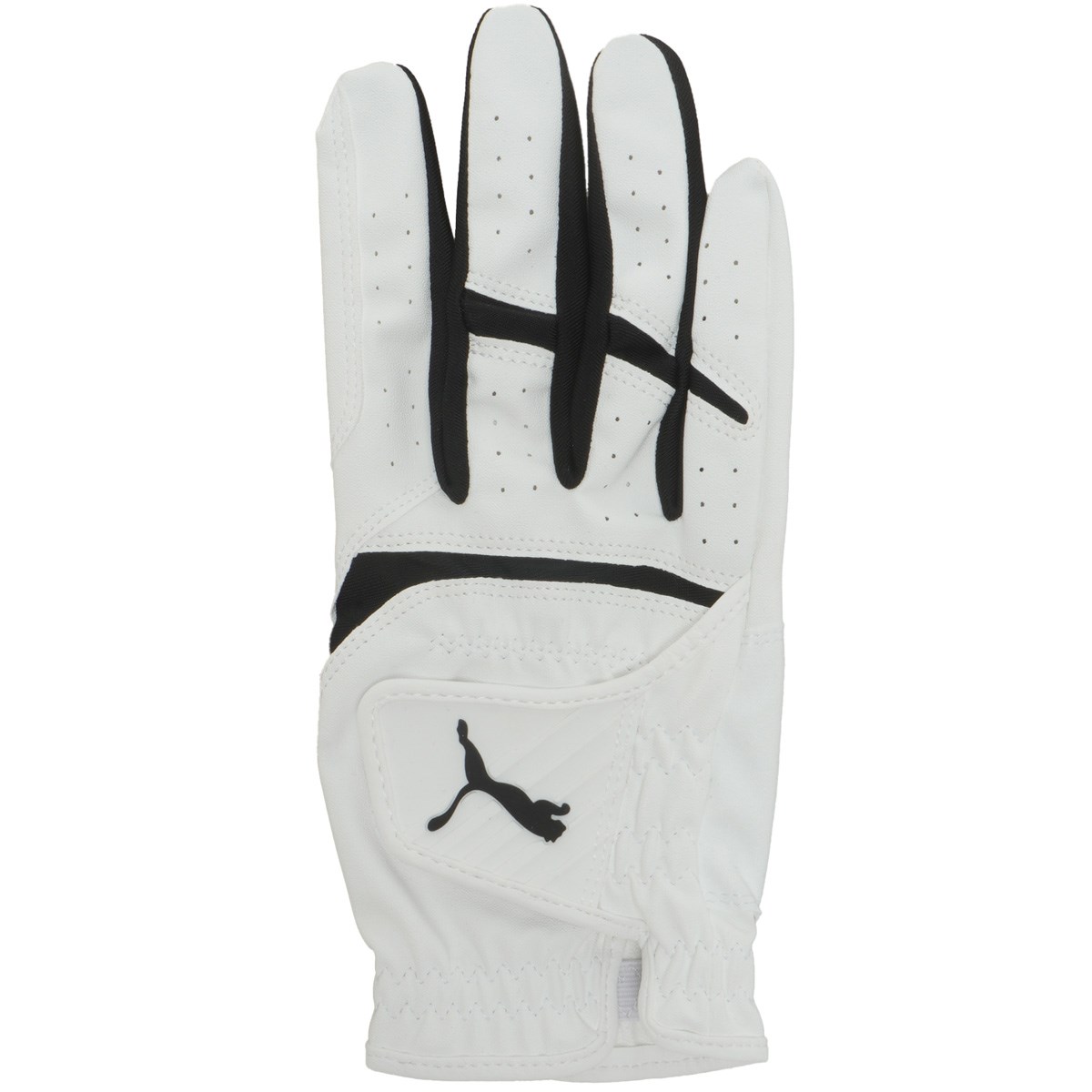 [2025Nf] v[} PUMA t[W Obv 3.0 O[u teB uCgzCg^v[}ubN 01 Y