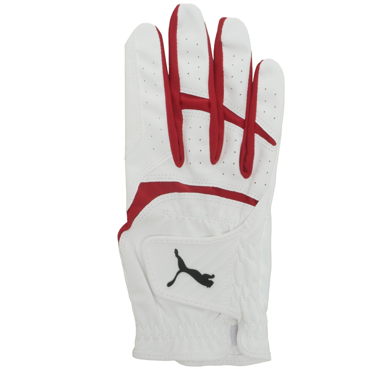 [2025Nf] v[} PUMA t[W Obv 3.0 O[u teB uCgzCg^XgObh 03 Y