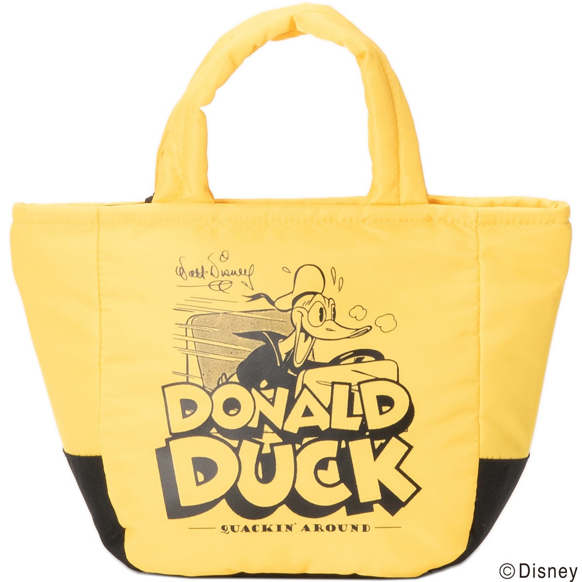 [2025Nf] fBYj[ Disney fBYj[OtBbN RB ۗEۉobO CG[ 70 Y