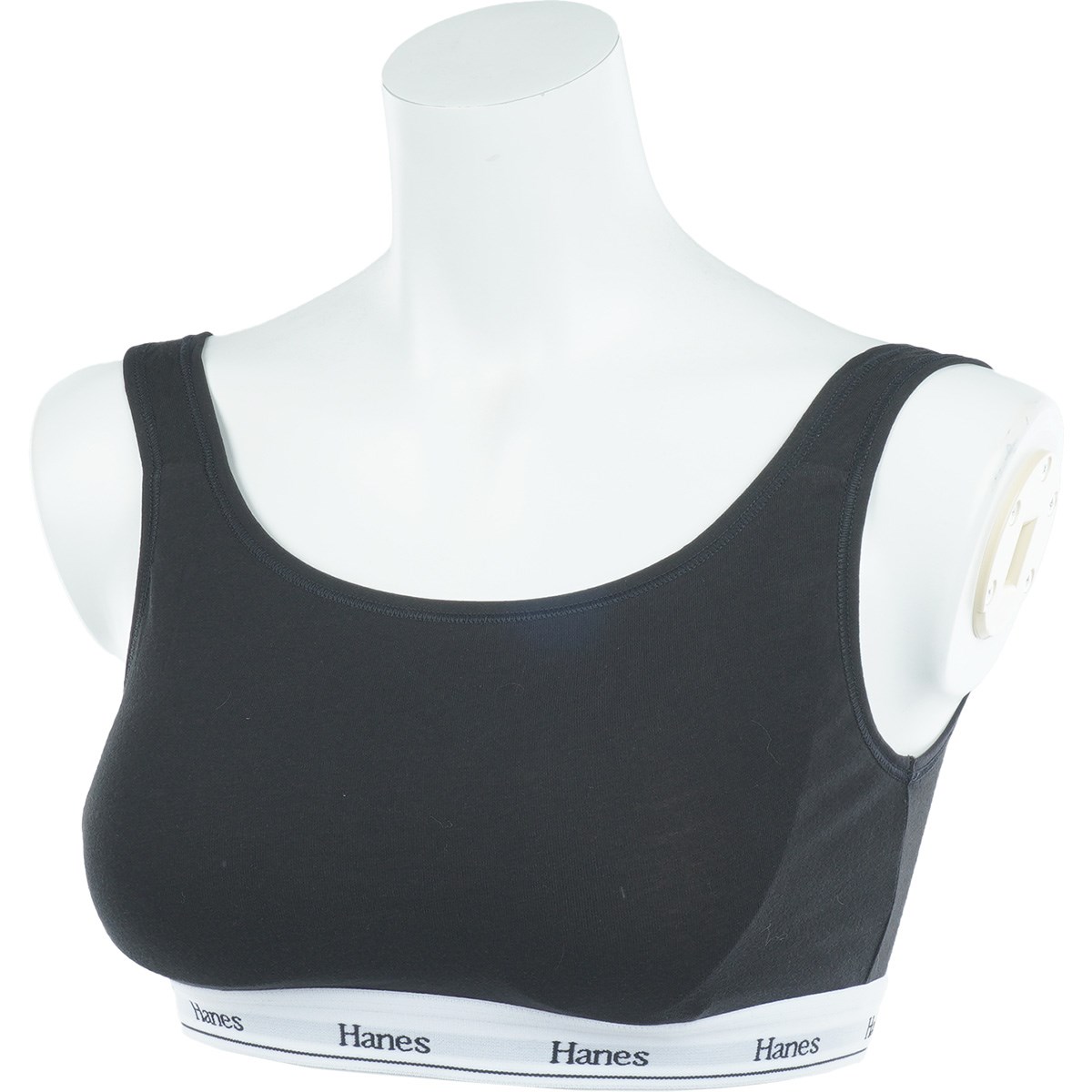 [2025NH~f] wCY Hanes n[tgbvu ubN 090 fB[X