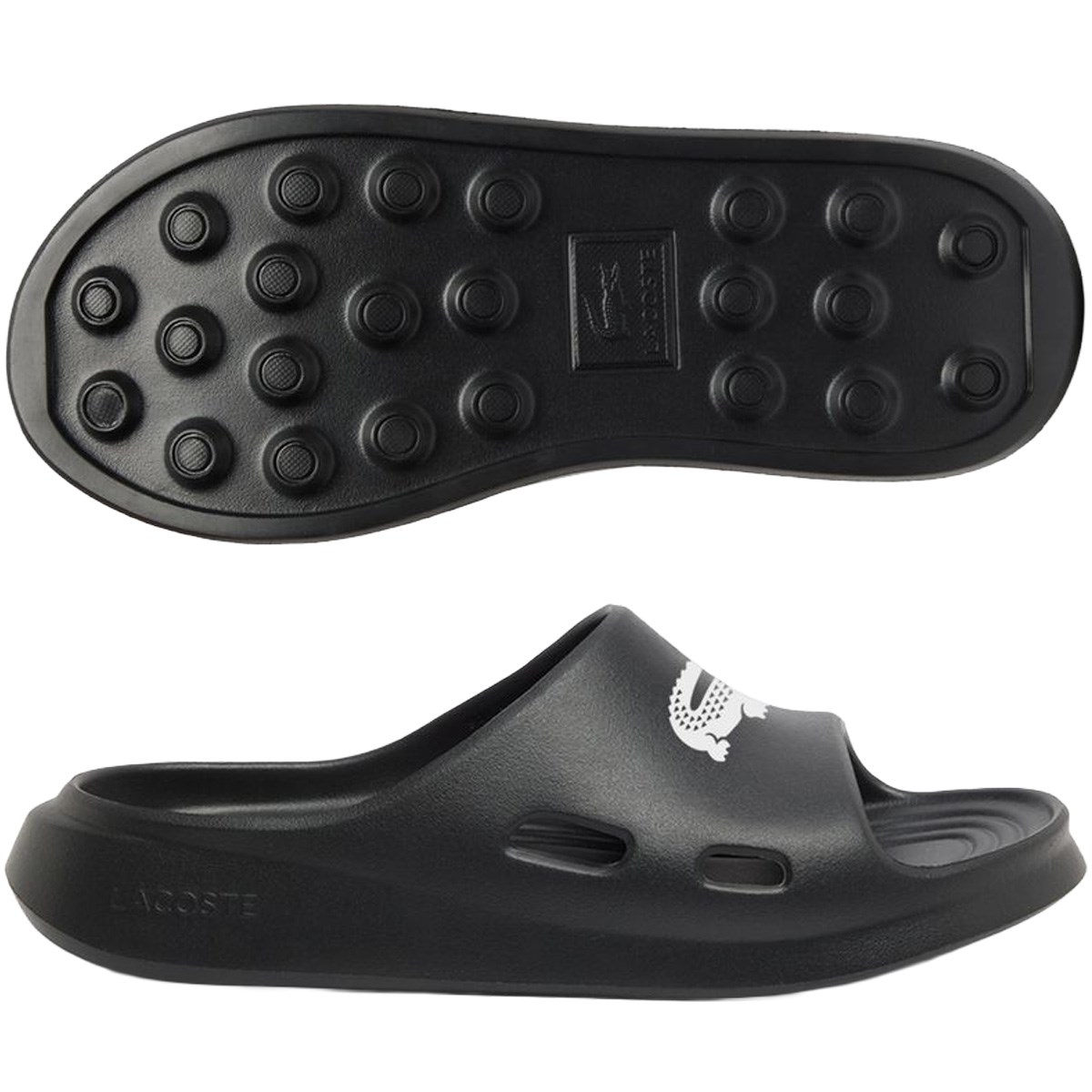 [2026�N���f��] ���R�X�e LACOSTE MEDUZ SLIDE �T���_�� �_�[�N�O���[ 17C �����Y